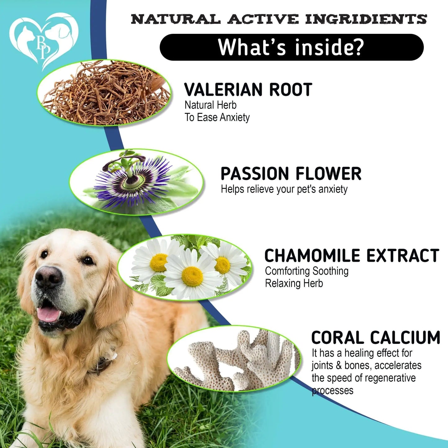 Hemp Anxiety Relief Chews for Dogs