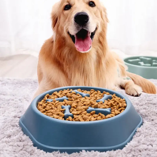 Pawvio™ CalmEat Puzzle Bowl